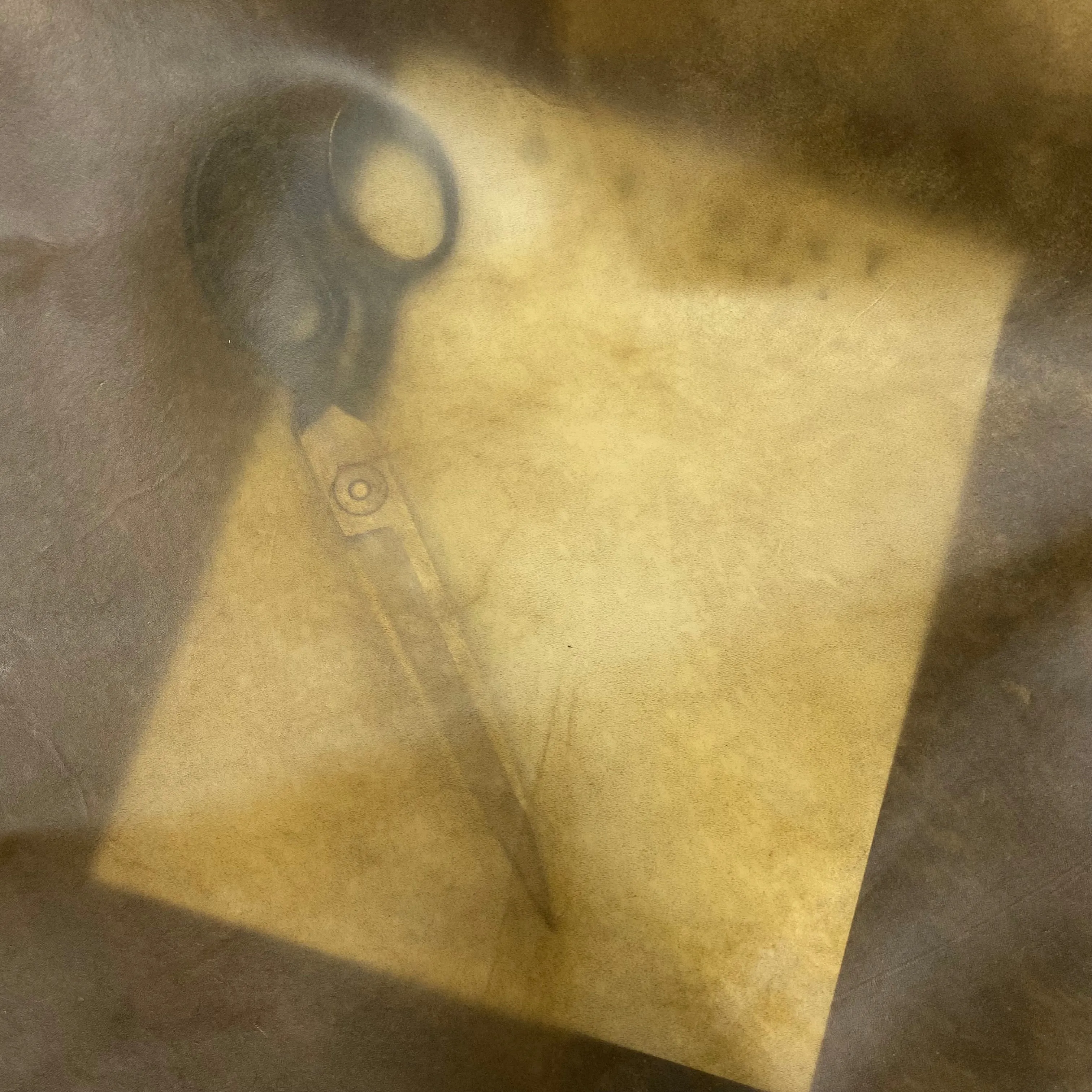 Transparent Leather